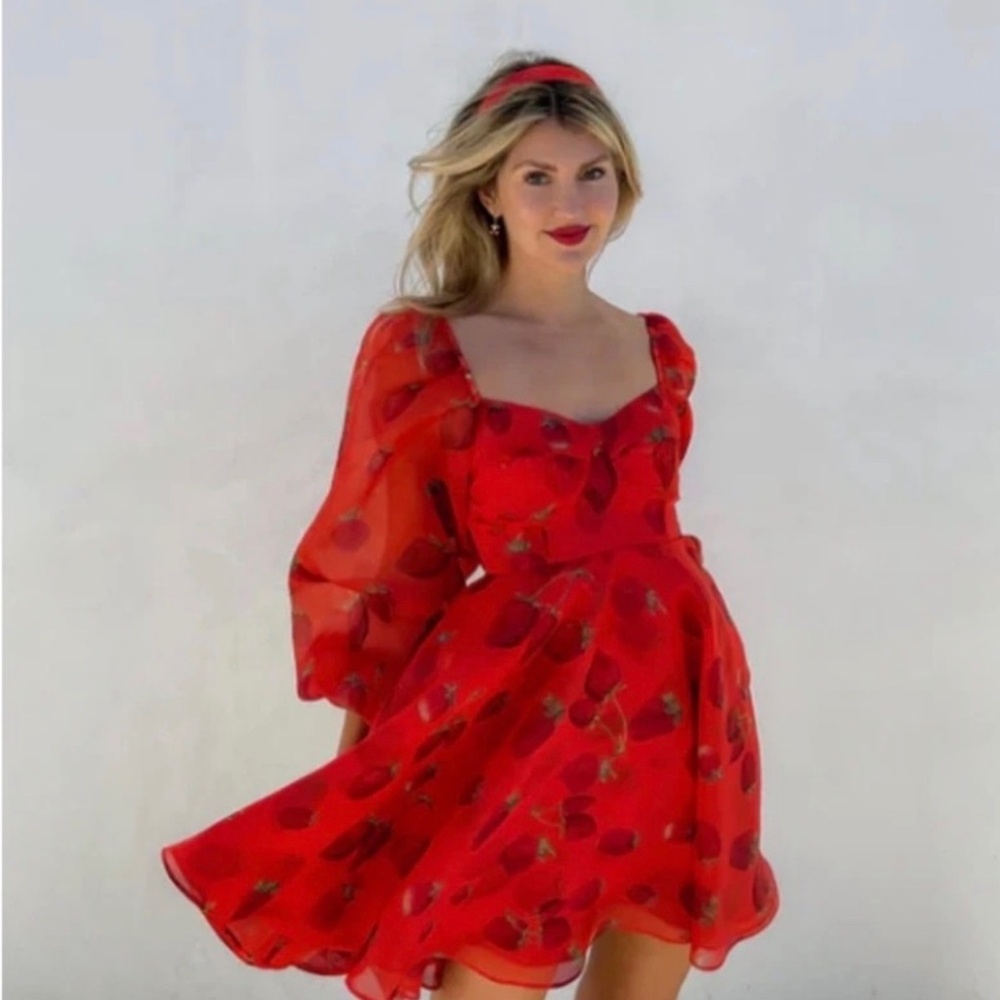 SOLD Selkie Like Strawberries Princess Dress